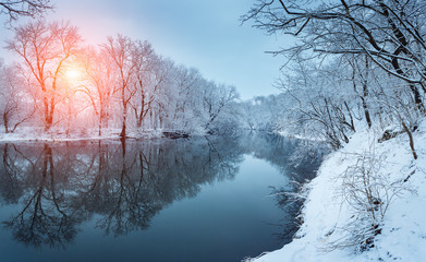 Winter forest on the river at sunset. Panoramic landscape with snowy trees, sun, beautiful frozen...