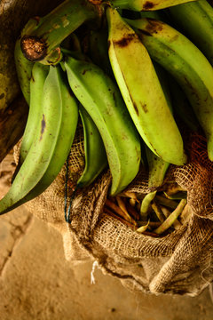 Green bananas in the countryside of Colombia