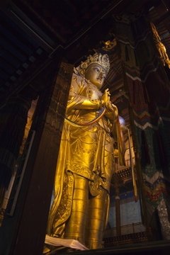 Giant golden Buddhist statue in a Mongolian temple