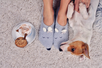 Woman wearing cozy warm wool socks relaxing at home, playing with dog, jack Russel terrier, drinking cacao, winter morning concept, top view. Soft, comfy lifestyle.