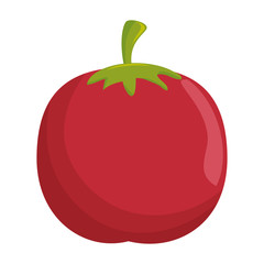 fresh fruit isolated icon vector illustration design