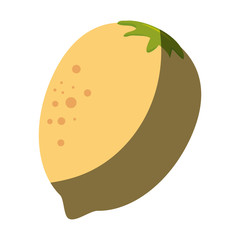 fresh fruit isolated icon vector illustration design