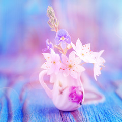 Bouquet of Anemone, windflower in miniature, diminutive jug. Macro close-up photo, soft focus. Rustic colored wooden background
