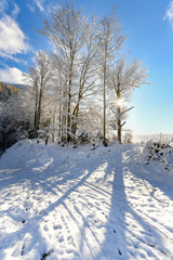 Mostviertel in winter