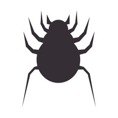bug icon design over white background, vector illustration