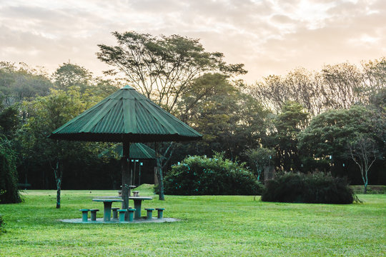 Villa-Lobos Park in San Paulo (Sao Paulo), Brazil (Brasil)