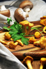 Obraz na płótnie Canvas Raw wild chanterelle mushrooms redy for cooking. Composition with wild mushrooms