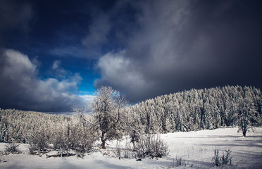  snowy winter landscape