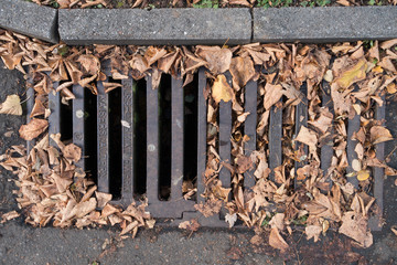 Herbstlaub verstopft Schacht