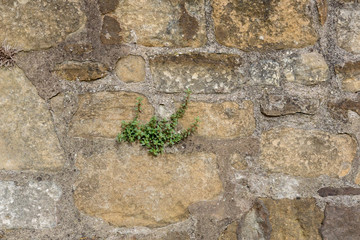 stone brick texture background