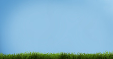 Fototapeta na wymiar blue sky green grass. green grass 3d render