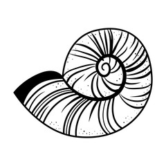 snail shell isolated icon vector illustration design
