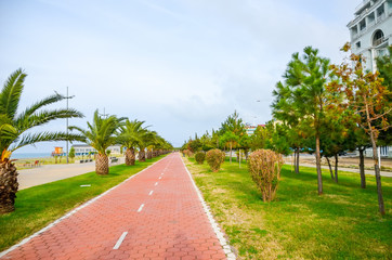 Obraz premium The beautiful bike path on the embankment in Batumi, Georgia.