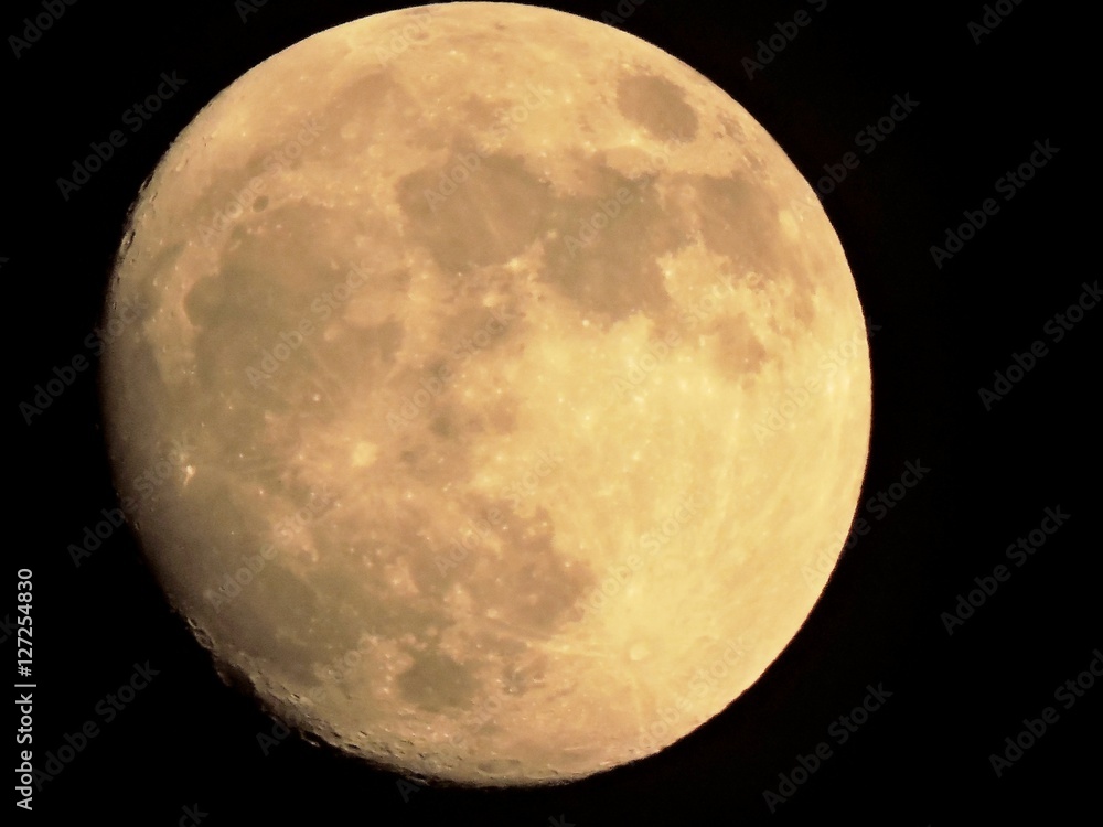 Wall mural the moon