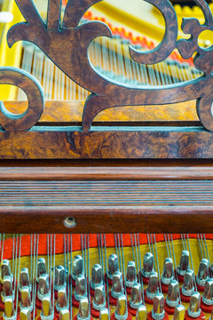 Antique Grand Piano Pins and Strings