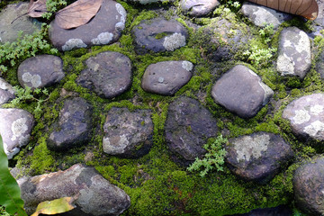 Stone with moss