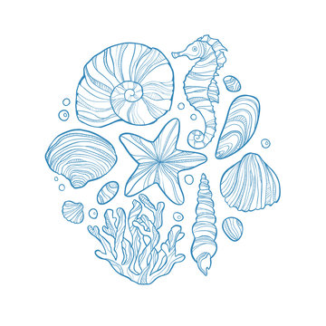 Hand drawn monochrome sketch of shell, seahorse, starfish, coral and others sea life in circle.