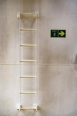Exit sign and rungs of  painted shipboard ladder on bord