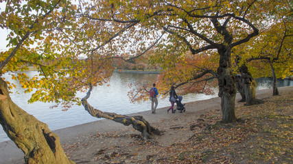 Young family strolls alongside old cherry trees at the Tidal Basin in Washington, DC.
