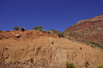 Sabra prickly pear cactus lines the top of a sandstone ridge