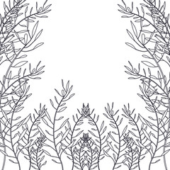 Tropical leaves icon. Nature plant  botany summer and natural theme. Vector illustration