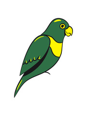 Parrot design