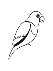 Parrot design