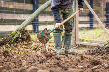 Man digging with spade in garden