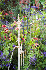 Over grown garden, masses flowers glimpse old fence.
