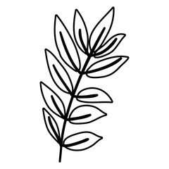 Leaf icon. Decoration rustic garden floral nature plant and spring theme. Isolated design. Vector illustration