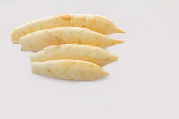 Abstract soft focus of the West Indian Arrow-Root,Maranta arundinacea,Canna indica,Australian arrowroot,Myrantacae,with the white copy space background.The local,herb, vegetable and Thailand food.