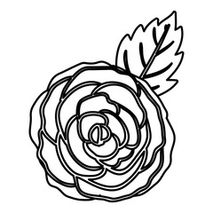Rose flower icon. Decoration rustic garden floral nature plant and spring theme. Isolated design. Vector illustration