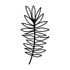 Leaf icon. Decoration rustic garden floral nature plant and spring theme. Isolated design. Vector illustration