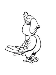Parrot arrogant