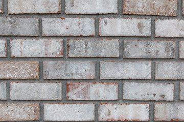 Grey brick wall for a background.