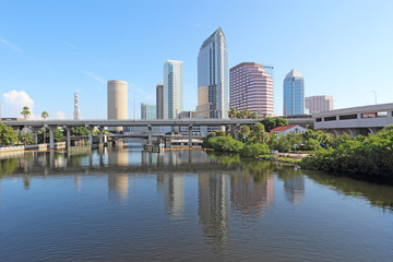 Obraz na płótnie Canvas Partial skyline and USF Park in Tampa, Florida