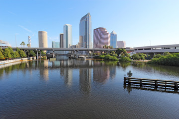 Fototapeta premium Partial skyline and USF Park in Tampa, Florida