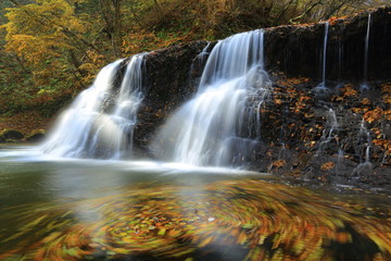 Fototapeta na wymiar 葛丸渓流　紅葉の一の滝
