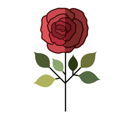 Rose flower icon. Decoration rustic garden floral nature plant and spring theme. Isolated design. Vector illustration