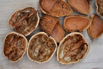 nutshells and almond shells