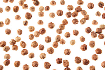 Hazelnut on white background. Pattern of selected hazel close-up. Isolated. For vegetarians.