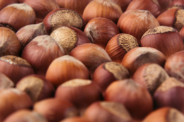 Hazelnut background. Pile of selected hazel close-up. For vegetarians.