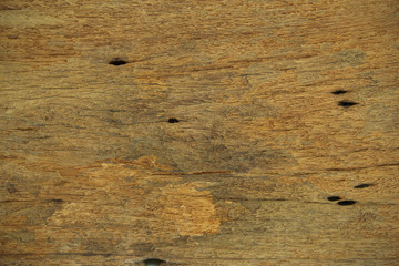 Naklejka premium Texture of bark wood use as natural background