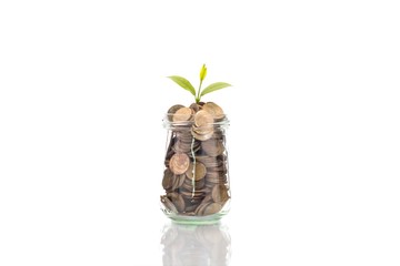 Plant Growing In Savings Coins on wooden - Investment And Intere