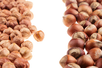 Hazelnut and kernel border on white background. Pile of selected hazel close-up. Isolated.