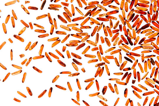 Red rice close-up on white background. Pattern wild brown unpolished rice for vegetarians.