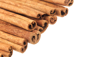 Cinnamon sticks closeup on white background. Isolated. Decorative border of cinnamon sticks spice.
