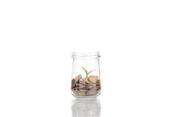 Plant Growing In Savings Coins on wooden - Investment And Intere