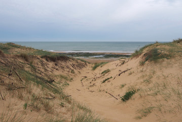 Dunes à Olonne-sur-Mer