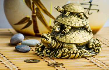 Feng-shui turtles